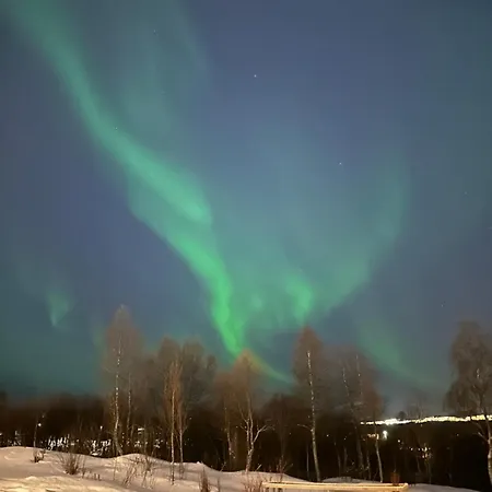 Oppdag Fra Leilighet! Appartement Tromsø